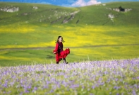 天山那拉提大草原,大美新疆